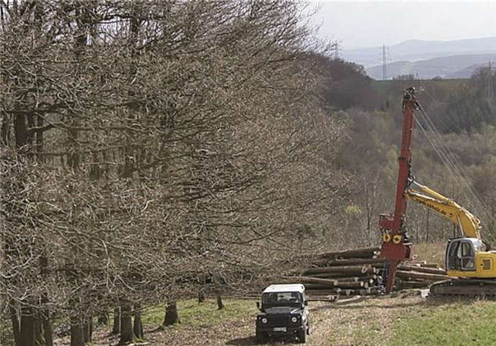 Bei der Besichtigung im Wald konnte man die Holzernte im Steilhang mit einem Seilkran erleben. privat