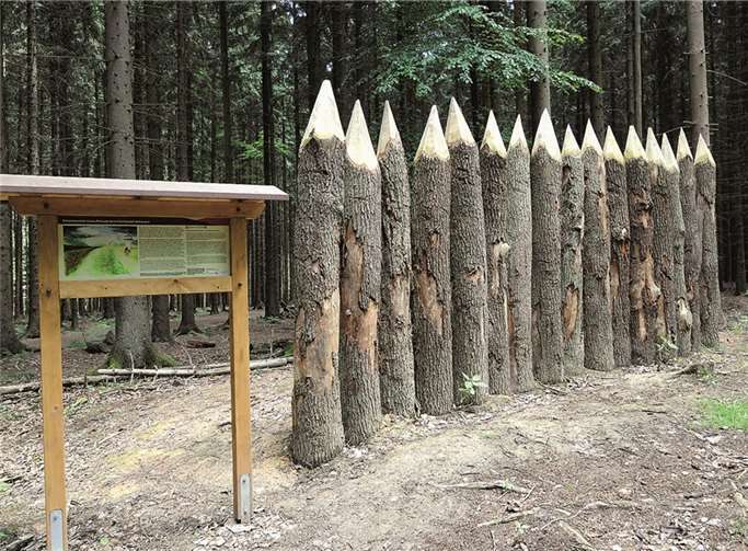 Bei der Cicerones-Führung wandern die Besucher auf den ehemaligen römischen Grenzlinien. privat