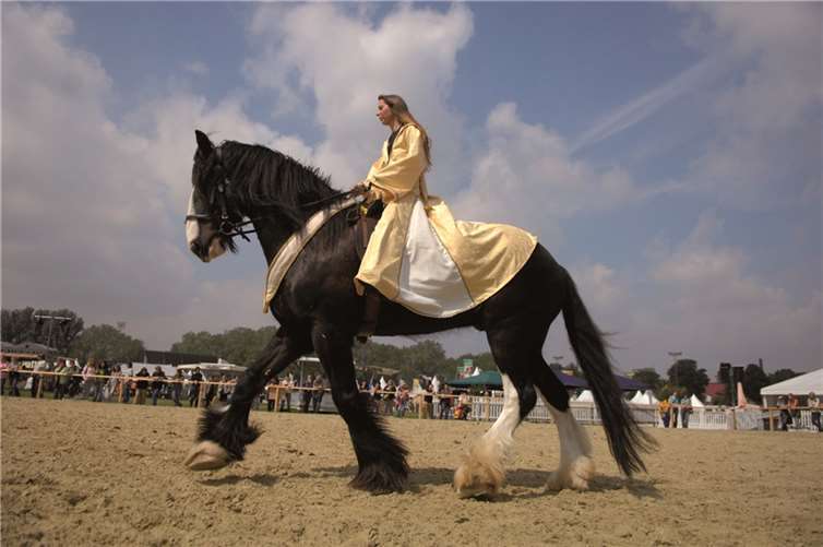 Bei der EQUITANA werden 50 Pferderassen zu sehen sein. privat