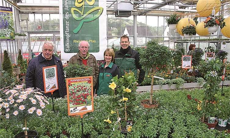 Bei der Gärtnerei Hammer in Sinzig gab es einen Vorgeschmack auf den Sommer.RÜ