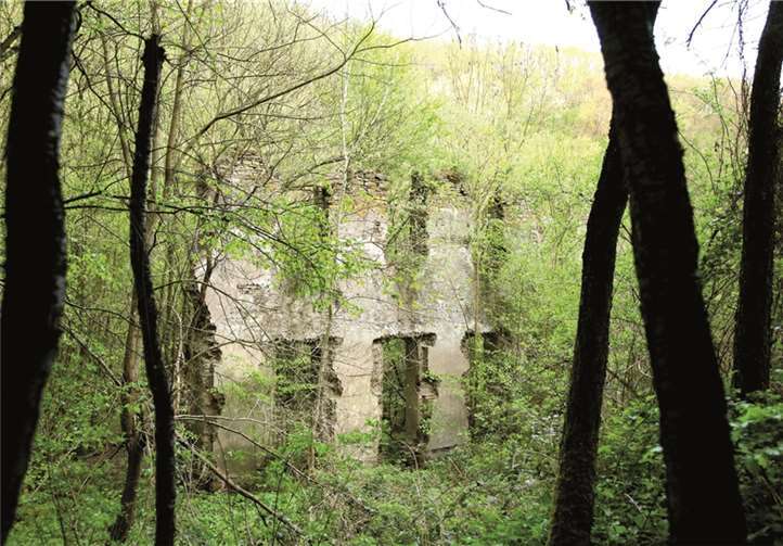 Bei der Klosterruine besteht dringender Handlungsbedarf.privat