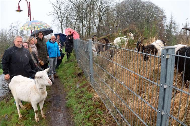 Bei der Landschaftspflege mit Ziegen wird zudem noch ein touristischer Anziehungspunkt für interessierte Besucher geschaffen. Beim Projektstart vor Ort waren daher auch die Vorsitzenden des Naturparks dabei, Fürstin Isabelle zu Wied und Landrat Achim Hallerbach. Außerdem Ortsbürgermeisterin Carmen Boden sowie Vertreter vom Naturpark und dem Touristik-Verband Wiedtal. Foto: Wolfgang Tischler