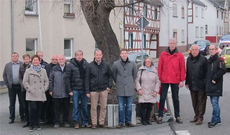 Bei der Ortsbesichtigung stand die alte Linde im Blickpunkt. privat