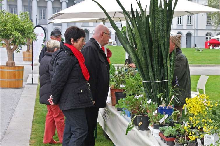 Bei der Pflanzenbörse im Schlosspark von Koblenz kann man seine Pflanzen gerne tauschen. © Ulrich Schwensfeier