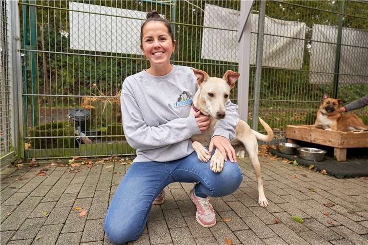 Bei der Vereinsförderaktion „Energieschub“ der evm sicherte sich das Tierheim Ransbach-Baumbach Glückshunde e.V. den zweiten Platz und damit 2.500 Euro Preisgeld.  Foto: Sascha Ditscher.