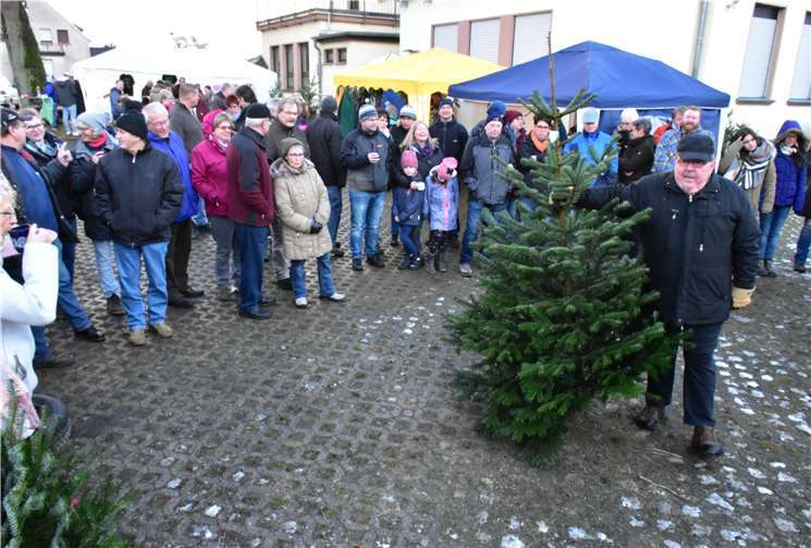 Bei der Weihnachtsbaumversteigerung zeigteAuktionator Norbert Spliethofe die Tannenbäume von allen Seiten. HEP