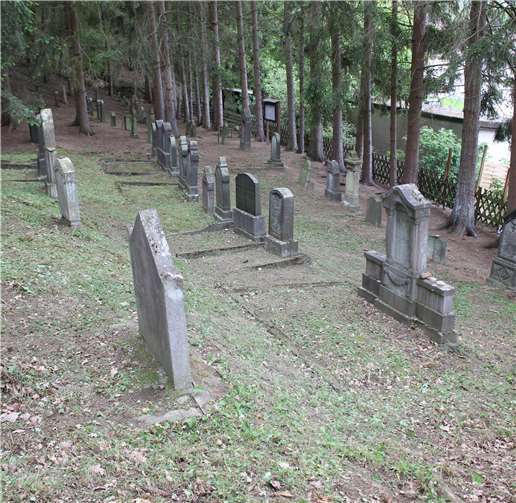 Bei der diesjährigen ersten Pflegeaktion wurden die im Winter und bei den Frühjahrsstürmen heruntergefallenen Äste, unzählige Tannenzapfen, viel Laub und Wildwuchs entfernt, sodass der jüdische Friedhof wieder in einem guten und gewohnt gepflegten Zustand ist.Foto: privat