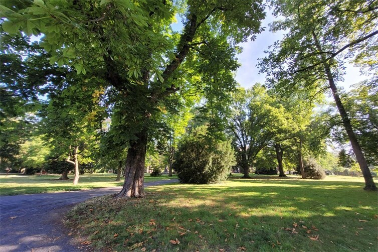 Bei einem Rundgang durch den Stadtpark werden geplante Umgestaltungsmaßnahmen erklärt.