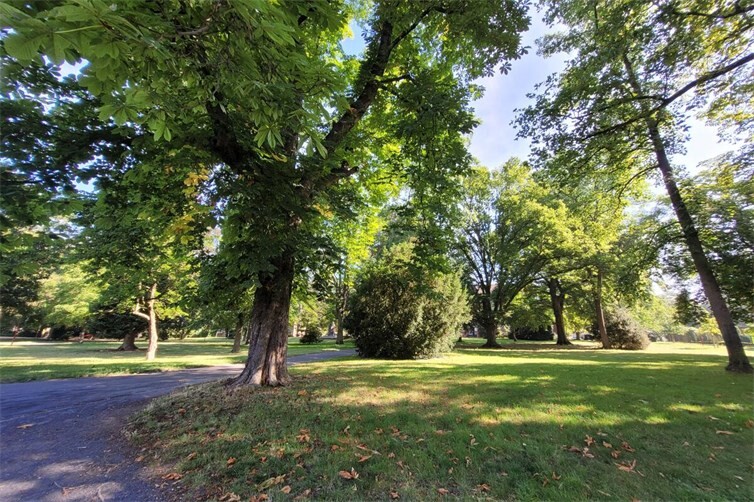 Bei einem Rundgang durch den Stadtpark werden geplante Umgestaltungsmaßnahmen erklärt.