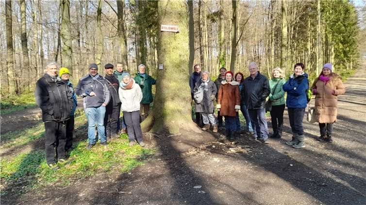 Bei einem sehr interessanten und informativen Rundgang mit verschiedenen Stationen im Wald lernten die Teilnehmer*innen, welche Maßnahmen das Forstamt Koblenz angesichts der Folgen des Klimawandels ergreift und plant. Foto: Bündnis 90/Die Grünen - Ortsverband Maifeld-Rhein-Mosel