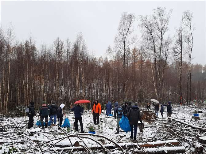 Bei einer Exkursion in den Höhr-Grenzhäuser Wald konnte sich die Klasse 9b ein gutes Bild von der Notwendigkeit dieser Pflanzaktion machen.Foto: privat
