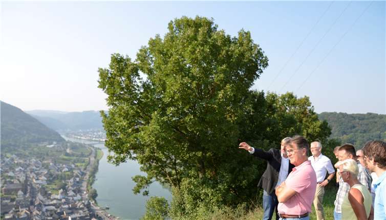 Bei einer Ortsbegehung konnte ein Überblick über die Projektflächen gewonnen werden.