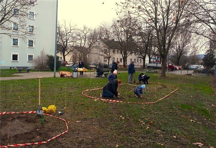 Bei einer gemeinsamen Pflanzaktion mit freiwilligen Helferinnen und Helfern wurden 1.735 Blumenzwiebeln auf den Rasenflächen des Pfarrer-Friesenhahn-Platzes in der Wohnsiedlung in Neuendorf gepflanzt. Foto: Johannes Kuhl