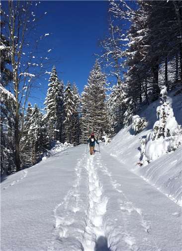 Bei extremen Bedingungen erklomm der Koblenzer Olli Michaelis in Richtung Brocken. Fotos: privat