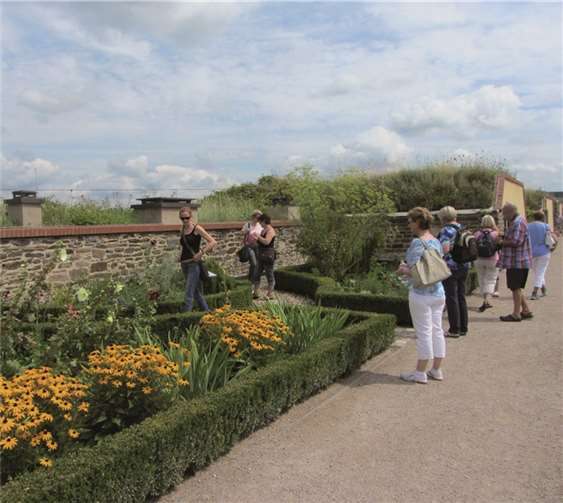 Bei gemeinsamen Spaziergängen kann man Ruhe und Geborgenheit unter Gleichgesinnten finden.