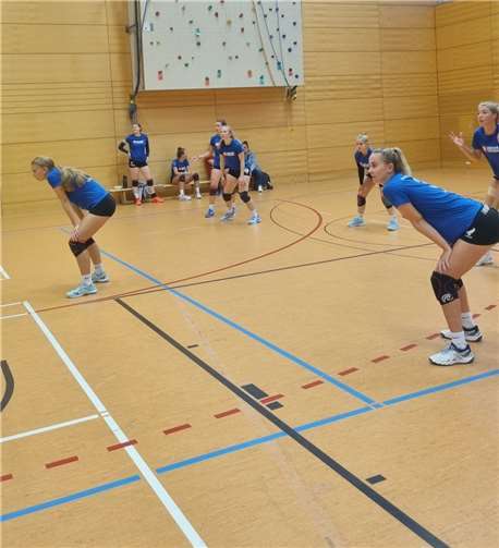 Bei guter Stimmung in der Halle starteten die Volleyballerinnen des SV Wachtbergs hochmotiviert, aber etwas nervös in den ersten Satz.  Foto: privat