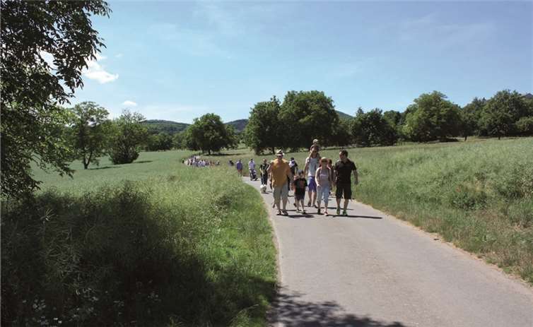 Bei herrlichem Wetter mit blauem Himmel wanderten Eltern und Kinder der Kita St. Nikolaus durch eine blühende Landschaft. privat