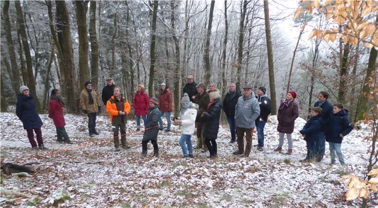 Bei idealem Wetter und leichtem Frost führte der kommunale Revierförster sachkundig durch den Wald und erklärte anhand der Waldbilder die Schwerpunkte der heutigen Arbeit im gut 300 ha großen städtischen Forstbetrieb. Foto: Arnold Hoffmann
