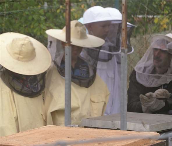 Bei ihrem Besuch erfuhren die Kinder viel Wissenswertes rund um die Biene. privat