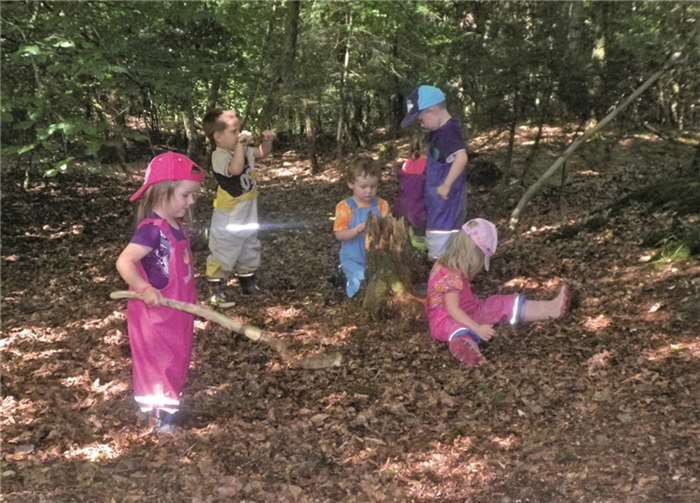 Bei ihren Ausflügen in den Wald konnten die Kinder viel lernen. Privat