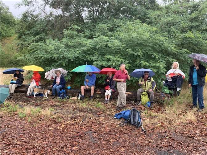 Bei leichtem Regen zogen die Wanderer los.  Foto: privat