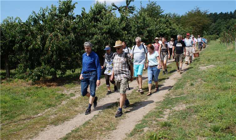 Bei schönsten Sommerwetter erkundeten die Teilnehmer die durch den Obstanbau geprägte Kulturlandschaft von Mülheim-Kärlich.