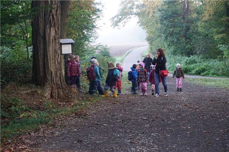 Bei so viel Abwechslung vergingen die Naturtage wie im Flug. Gewiss werden sich die zukünftigen Vorschulkinder gerne und lange an diese schönen Tage in der Natur erinnern.Foto: privat