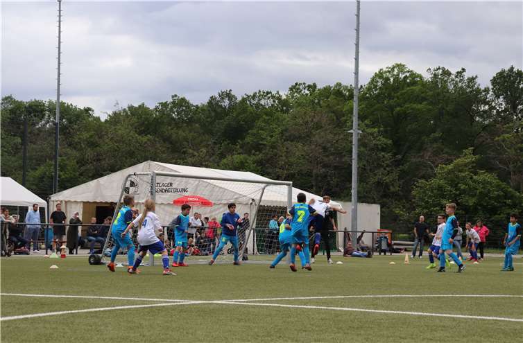Bei sommerlichen Temperaturen bis zu 30 Grad schwitzte nicht nur der Nachwuchs auf dem Platz, sondern auch die Eltern, Zuschauer und Trainer am Rand. Foto: privat