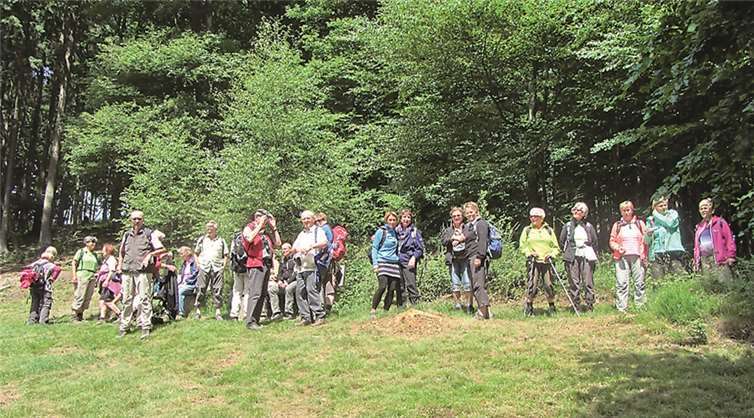 Bei sonnigem Wetter hatten die Wanderer einen weiten Blick ins Wiedtal. privat