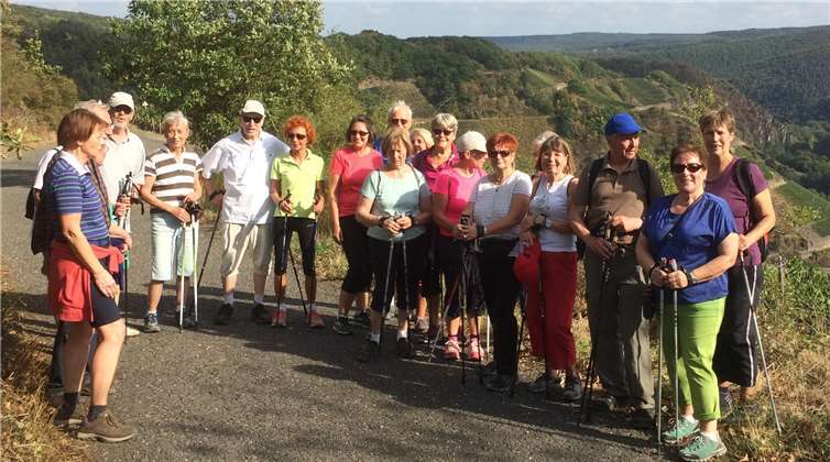 Bei strahlend schönem Wetter waren die 25 Teilnehmer in den Weinbergen unterwegs.privat