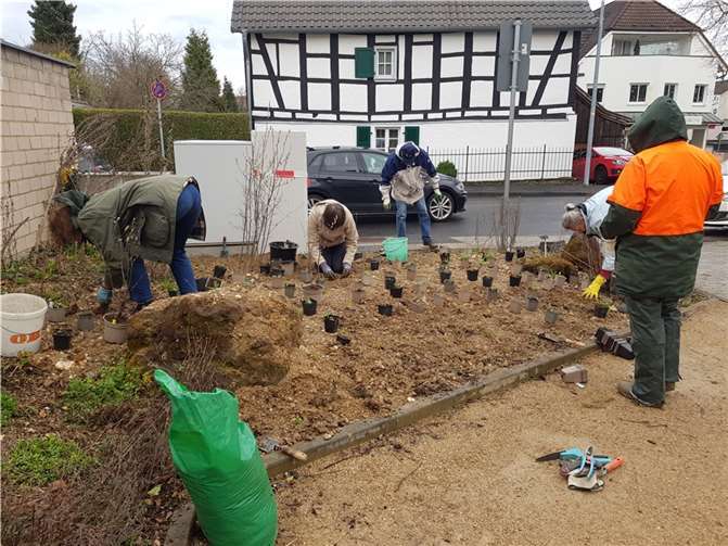 Bei ungemütlichem Schauerwetter und mit klammen Händen haben die ehrenamtlich engagierten „Schaugärtnerinnen und -gärtner“ kürzlich das Kalkschotterbeet am E-Parkplatz der gemeindeeigenen Fahrflotte wieder hergerichtet.  Foto: privat