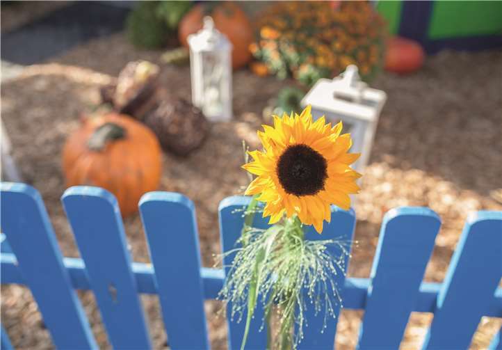 Beide Veranstaltungen finden vom 9.-11. Oktober statt.