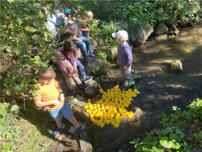 Beim 16. Entenrennen werden erstmals bis zu 1.500 Rennenten den Bachlauf gelb färben.