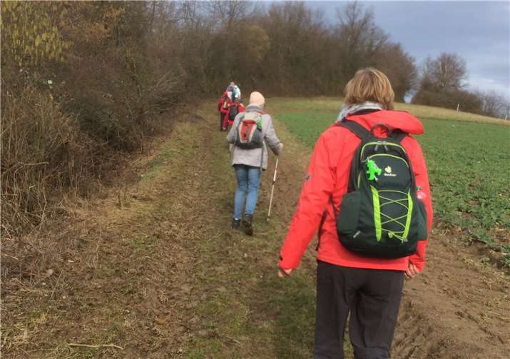 Beim Aufstieg zum Bausenberg. Foto: Günter Hussong
