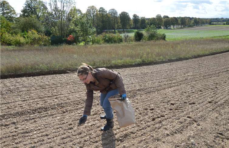 Beim Aussähen der Wildkräuter.Quelle: Gemeinde Swisttal