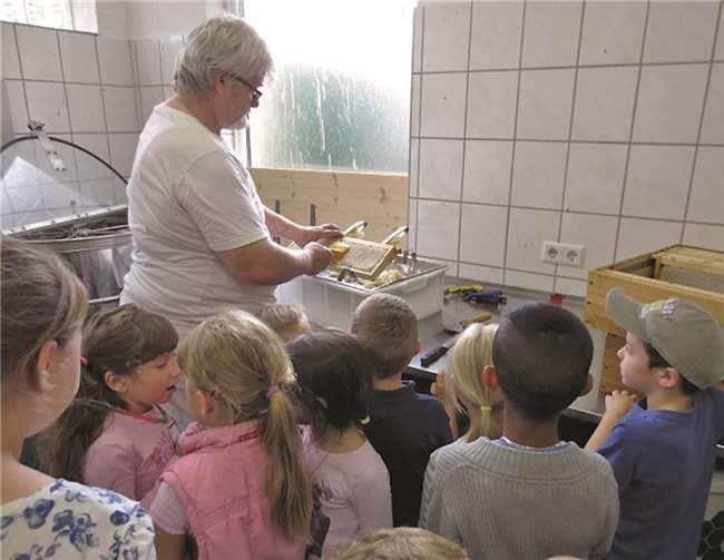 Beim Besuch eines Imkers konnten die Kinder zusehen, wie Honig aus den Bienenwaben geschleudert wird.