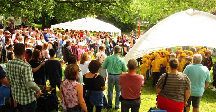 Beim Bommertfest war wieder so richtig was los.Foto: privath