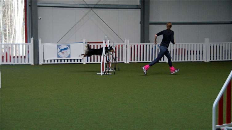 Beim Endspurt ging es in einem langen Sprung über das letzte Hindernis ins Ziel.