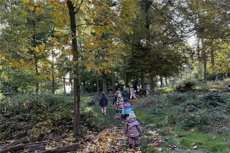 Natur hautnah erleben  Beim Erkunden des Waldes konnten die Kitakinder den Übergang vom Sommer in den Herbst gut beobachten.