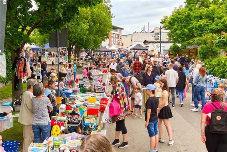 Beim Familienfest in Höhr-Grenzhausen wurden den Besuchern und Besucherinnen ein buntes Programm geboten.