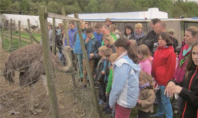 Beim Frühlingsausflug wurde die Straußenfarm oberhalb von Remagen erkundet.privat