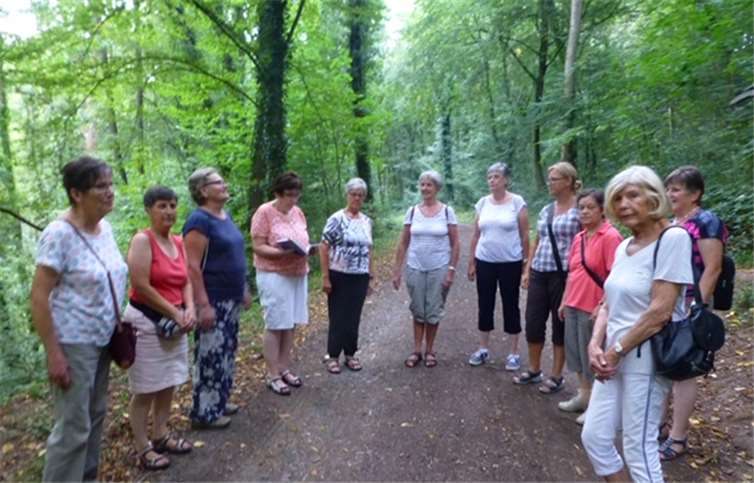 Beim Gehen wirkte das Plätschern des den Weg begleitenden Baches ebenso beruhigend wie das durch den Wind und leichte Regentropfen verursachte Rascheln der Blätter der Bäume.Foto: privat
