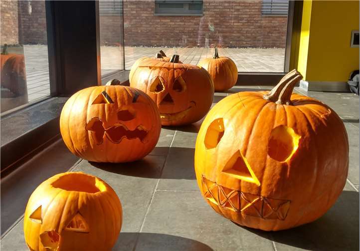 Beim Halloween-Tag wurden u.a. Kürbisse geschnitzt. Foto: privat