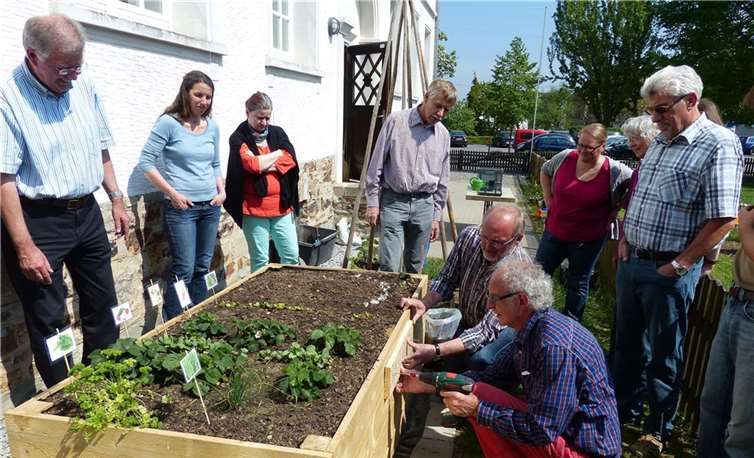 Beim Hochbeetprojekt werden Inhalte zum Thema „Gesunde Ernährung“ vermittelt. privat