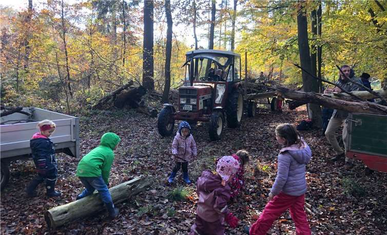 Beim Holzsammeln im Wald.