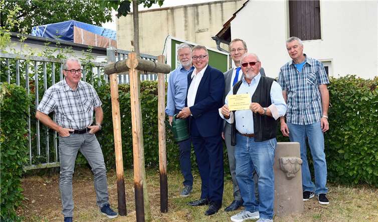 Beim Käskömpchefest wurde nun der Kugelahorn, ein Geschenk des Landrats Dr. Jürgen Pföhler, gepflanzt.