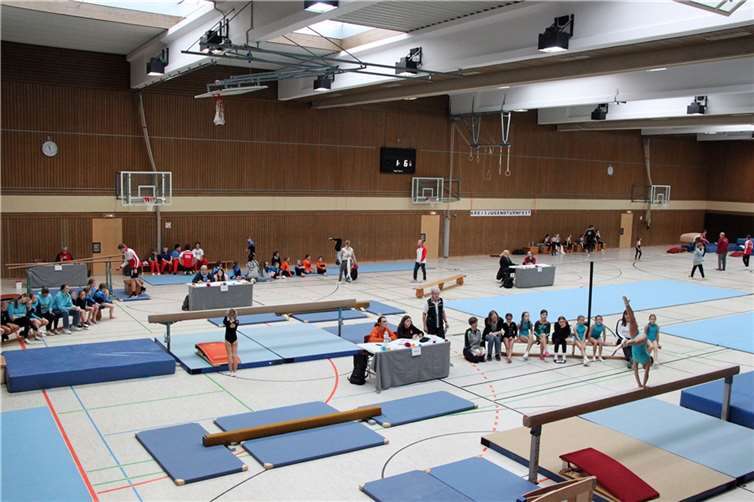 Beim Kreisjugendturnfest zeigten über 200 Mädchen und Jungen ihr Können. Foto: Kreisverwaltung / Nicole Chemnitz
