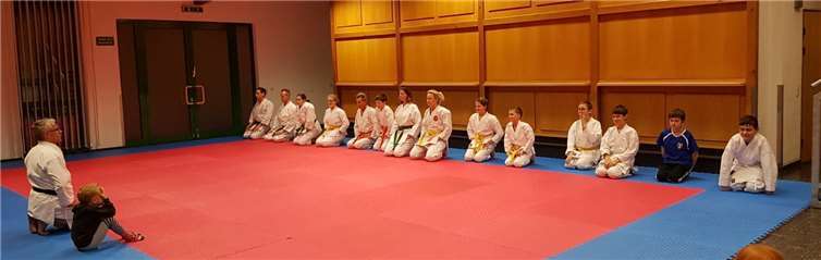 Beim Nikolaustraining durften auch die Familien der Mitglieder am Training teilnehmen. Privat