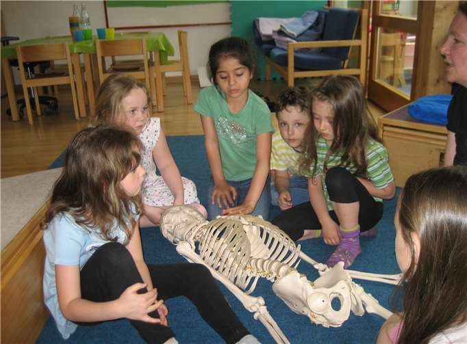Beim Projekt „Körper“ erfuhren die Kids viel Wissenswertes rund um den menschlichen Körper. Fotos: privat