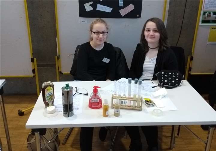 Beim Regionalwettbewerb in Remagen nahmen Schülerinnen der achten Klasse mit ihrem Projekt „Haarshampoos ohne Silikone“ erfolgreich teil. Privat